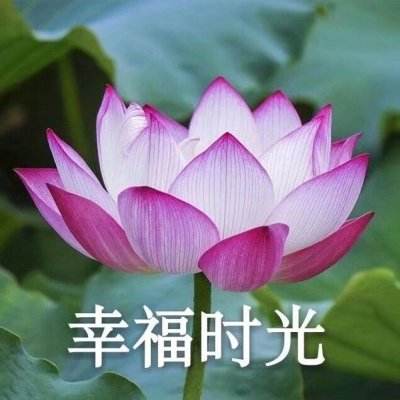 男子晒中奖二维码被他人核销